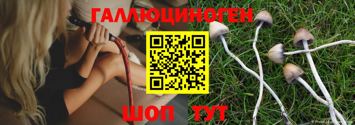 Псилоцибиновые грибы GOLDEN TEACHER  Вход с VPN  Алапаевск  Галлюциногенные грибы Cubensis 